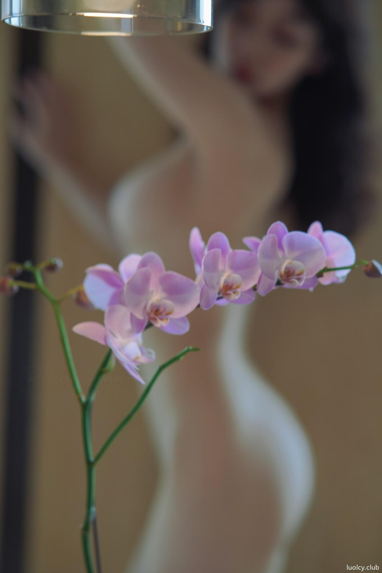[Private-Room] VYA-CAT - aesthetic erotic private photo bundle 235P7V
